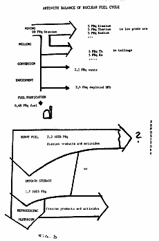 Activity Balance of Nuclear Fuel Cycle